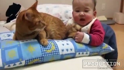Babies annoying cats – Funny baby & cat compilation