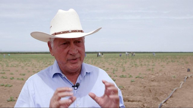 Trump's anti-immigrant crackdown takes economic toll