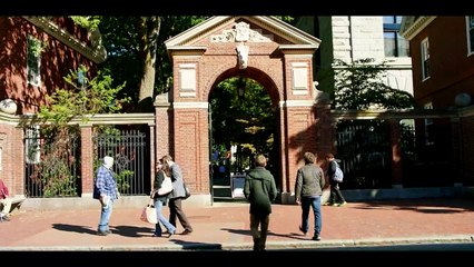 Brad's Status (2017) |TRAILER