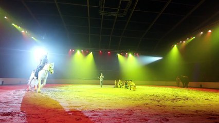 La Nuit des créations : un spectacle poétique au festival Equestria