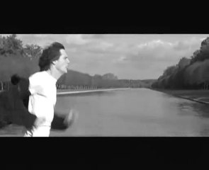 Hubert-Félix Thiéfaine - La Queue