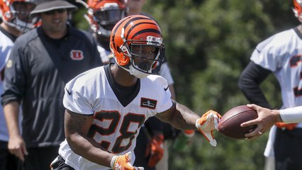 How quickly can WR John Ross and RB Joe Mixon adjust to the NFL?
