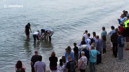 Locals rescue disorientated dolphin in Dorset, UK