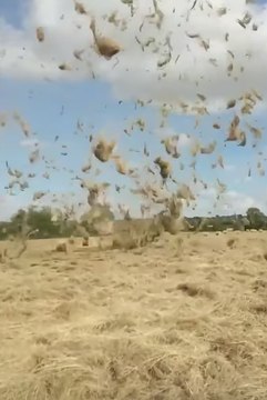 Whirlwind Tosses Around Hay in Irish Field