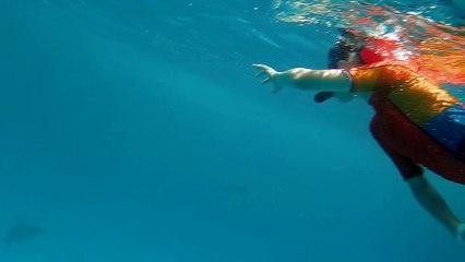 Delfini.2017_0712_125318_020