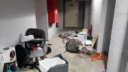 Les rats envahissent une résidence à Saint-Vaast