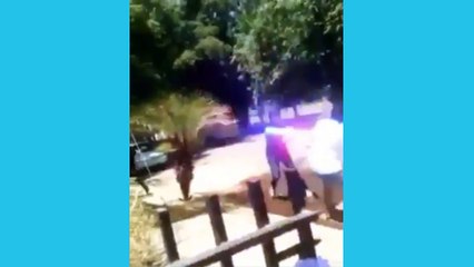 VIRALES Y FAILS MAS VISTOS DE LA CUARTA SEMANA DE JULIO 2017 PARTE 2 nuevo