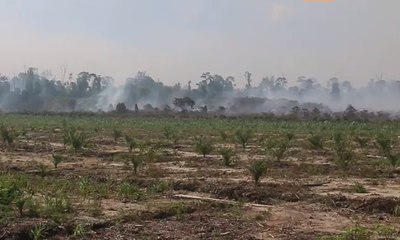 Kabut Asap Selimuti Meulaboh, Warga Khawatir Dampak
