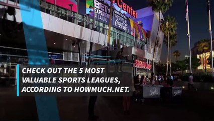 5 most valuable sports leagues