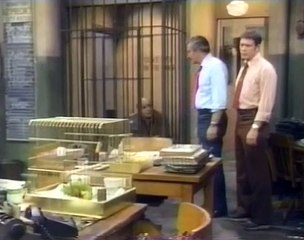 Barney Miller S06E07 The Bird