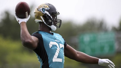 Leonard Fournette: My goal for 2017 is to win the rushing title