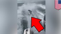 Dudes piss off internet after torturing a shark