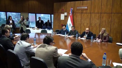 PROYECTO DE LEY QUE CREA EL INSTITUTO DE LA CARNE EN PARAGUAY