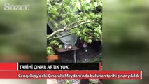 Çınaraltı Meydanı'nın tarihi çınarı artık yok