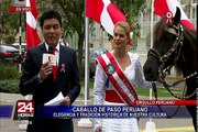 Orgullo Peruano: toda la elegancia y tradición del Caballo de Paso