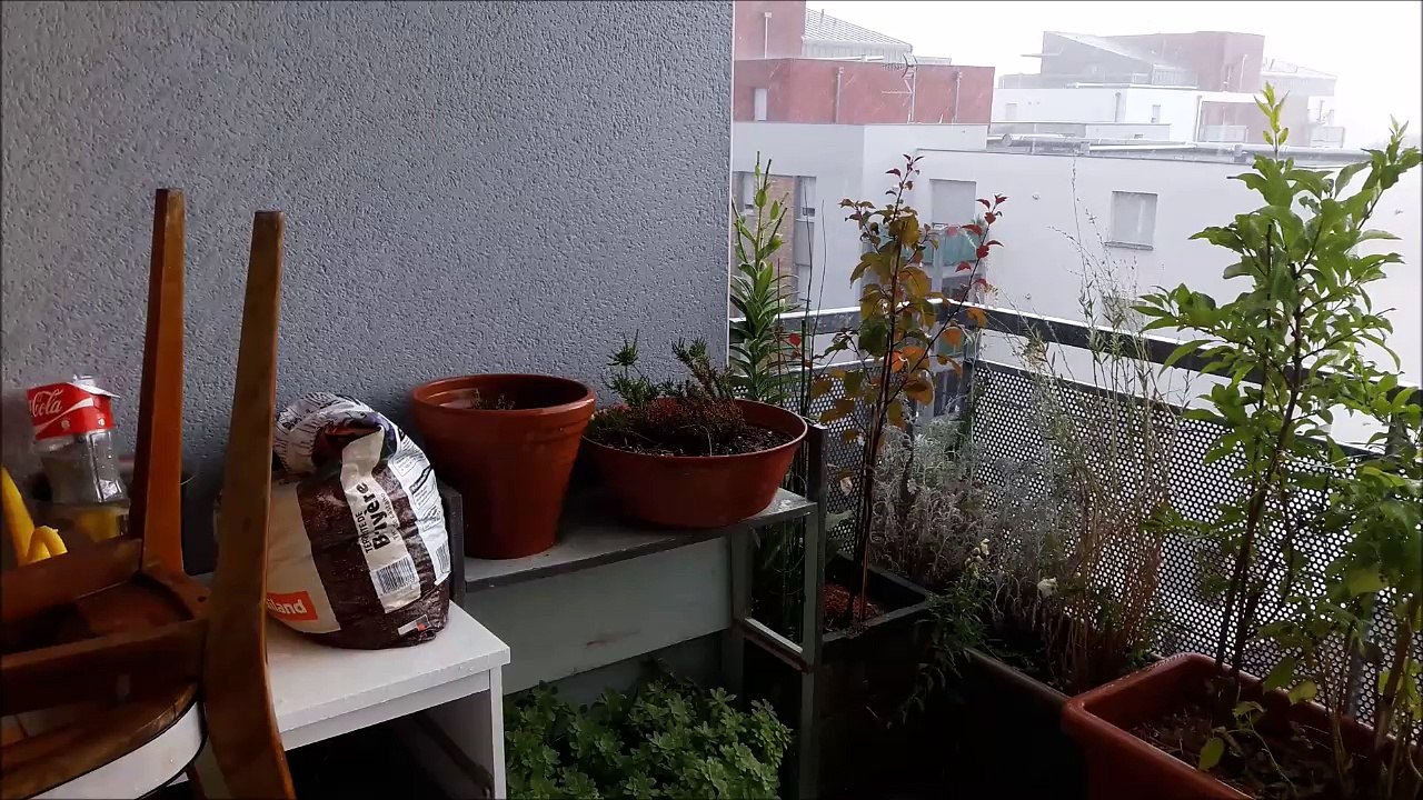 Orage de grêle du 28 juin