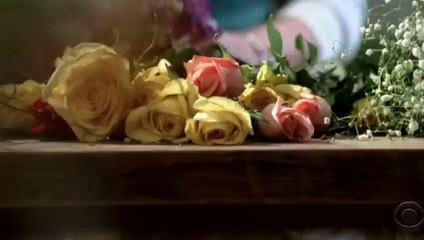 Criminal Files -  8 Years