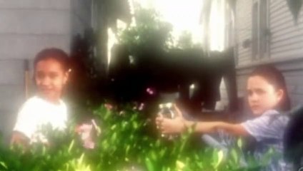 Criminal Files -  Fireflies