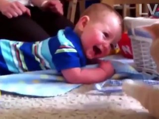 A collection of funny baby videos playing with cats | The most funny thing to make laughs