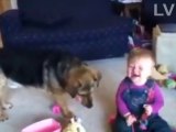 Funny !!! Dogs Make Baby Laugh cheerfully