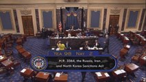Сенат США одобрил пакет новых санкций против России, Ирана и КНДР