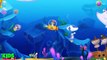 Little Ocean Doctor - Kids Doctor Cute Sea Creatures Care Games For Children and Babies