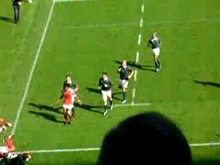 ESSAIS DES SPRINGBOKS