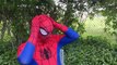 Amérique capitaine gelé amusement amusement cheveux dans enfants maléfique réal homme araignée vole super-héros