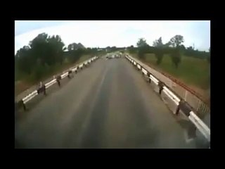 Hit by a goat, Traffic Accidents .