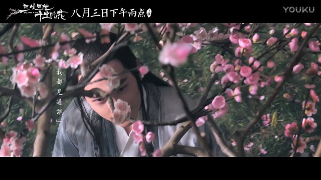 Trailer 3 Tam Sinh Tam Thế Thập Lý Đào Hoa - Lưu Diệc Phi, Dương Dương