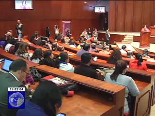 Estructura Ley de Prevención de Violencia contra la Mujer en la Asamblea Nacional
