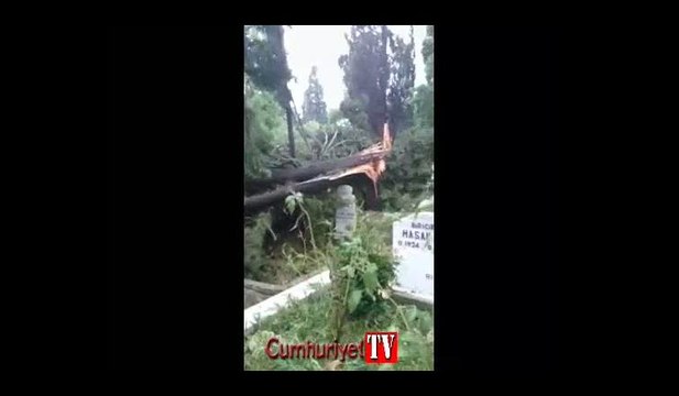 Karacaahmet Mezarlığı'nda fırtınadan dolayı ağaçlar devrildi