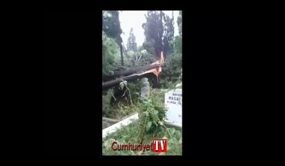 Karacaahmet Mezarlığı'nda fırtınadan dolayı ağaçlar devrildi