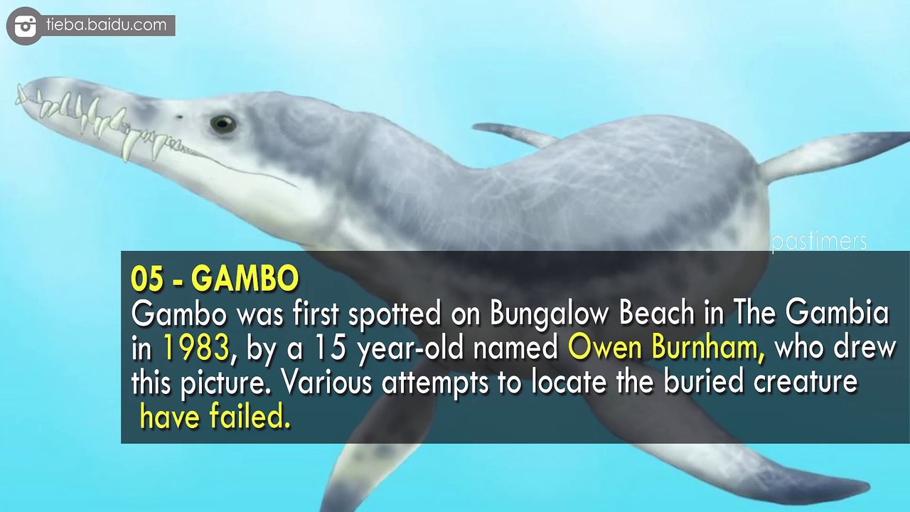 10 Mysterious Creatures That Washed Up On Beaches