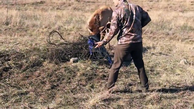 Ce chasseur tire à bout portant sur un élan mais pas pour le tuer... Regardez un peu