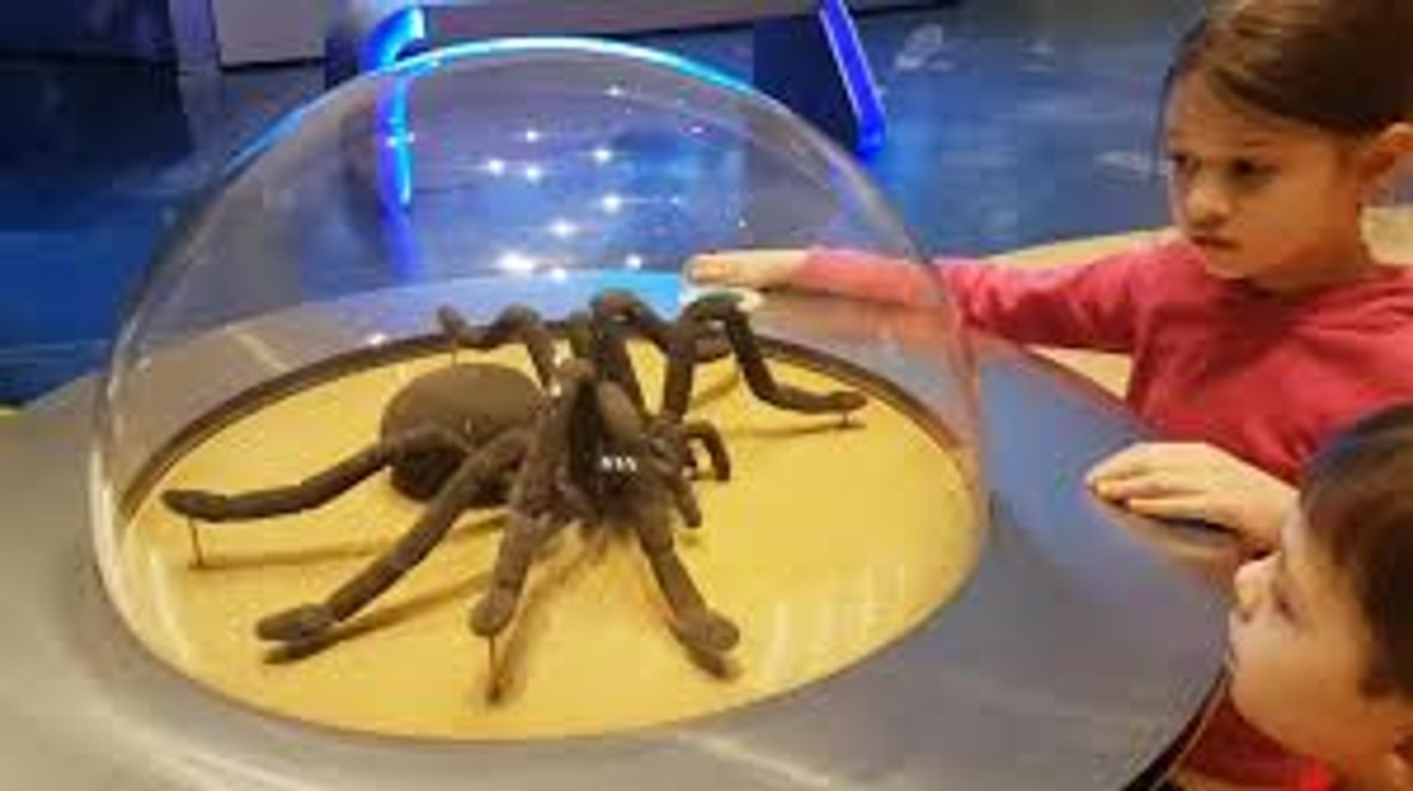Family fun ride at Children's City Museum. Kids pretend playing