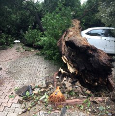 İstanbul'da Dolu ve Sağanak Acıbadem ve Koşuyolu'nu Resmen Yıktı