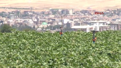 Diyarbakır Bismil Belediyesi'nden Yoksullara, 'Toprak Reformu' Gibi Uygulama