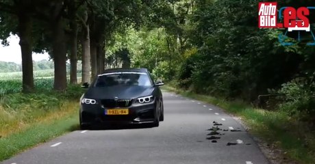 VÍDEO: Los sonidos de escape más brutales de la semana (vol_95)