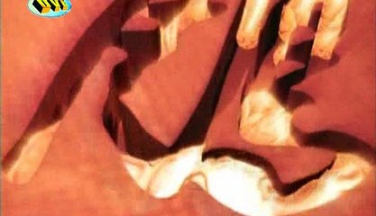 Anh Hùng Xạ Điêu 2003 Tập 38