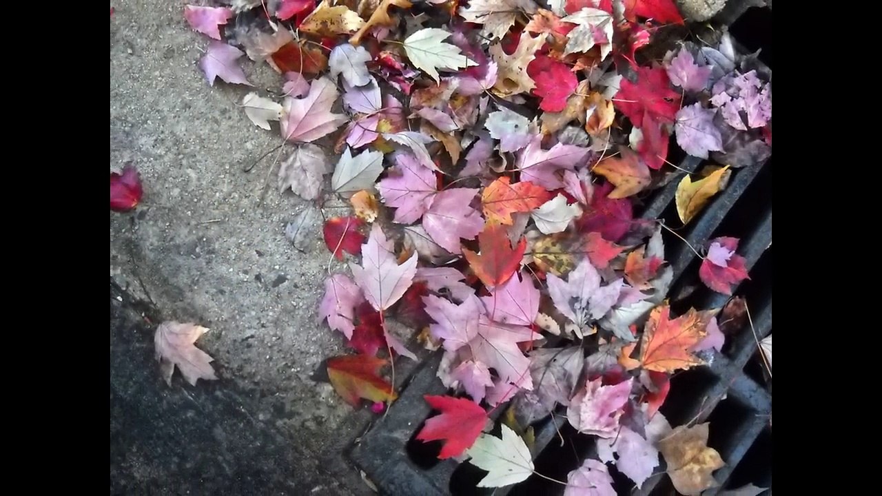 Αποφραξεις Γλυφάδα – 2109615255 – Apofraχeis Glifada