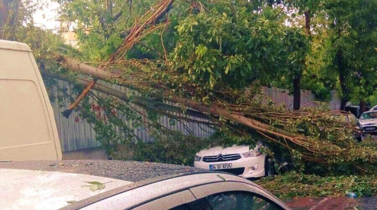 Doğal Afet Zararlarını KASKO ya da Trafik Sigortası Karşılar mı?