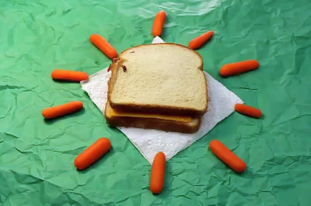 VIST 206 Stop Motion Countdown