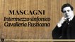 Pietro Mascagni, Orchestra del Teatro alla Scala - Intermezzo from Cavalleria Rusticana