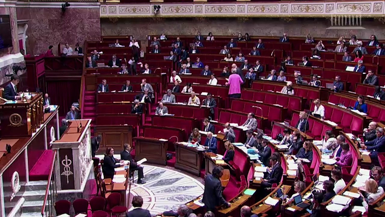 Quand les députés LREM rejettent un article par étourderie