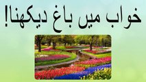 khwabon ki tabeer in Urdu - khwab main bagh (Garden) dekhny ki tabeer