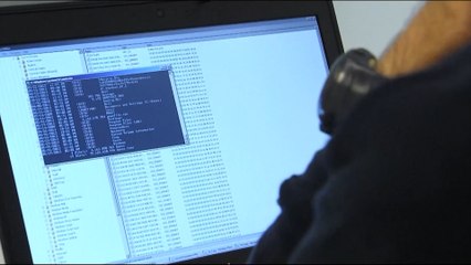La media de ciberataques asciende a 384 casos diarios