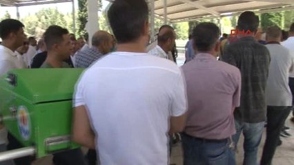 Adana Veteriner, Muayene Ettiği Atın Çiftesiyle Öldü