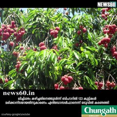 ഇവിടെയും വില്ലന്‍ എന്‍ഡോസള്‍ഫാന്‍  youtube: https://goo.gl/vsUiwu Facebook:https://www.facebook.com/Anweshanamdotcom