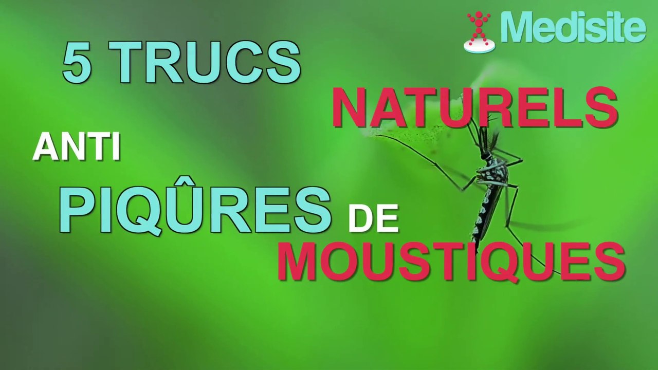 5 trucs naturels contre les piqûres de moustiques